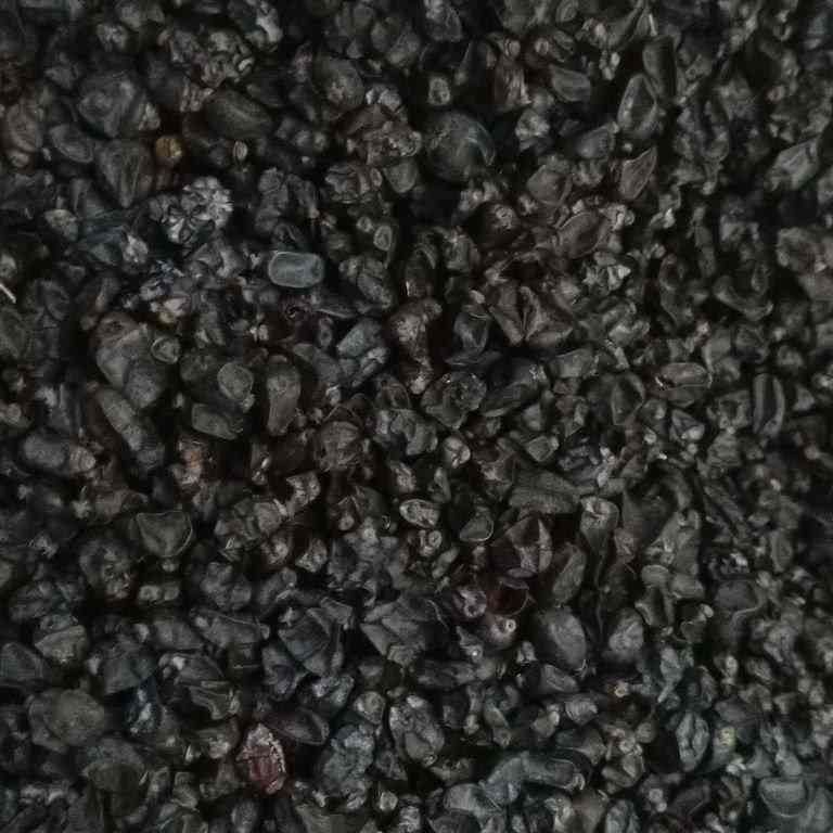 قیمت زرشک سیاه